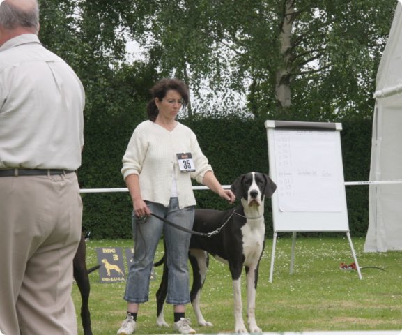 cac_roedersheim_036.jpg