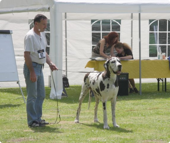 cac_roedersheim_040.jpg