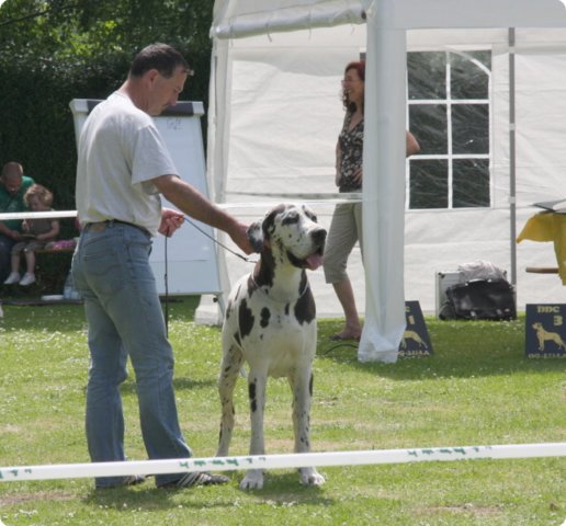 cac_roedersheim_045.jpg