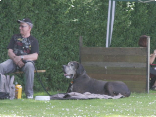 cac_roedersheim_053.jpg