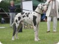 cac_roedersheim_028.jpg