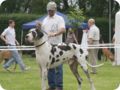 cac_roedersheim_031.jpg