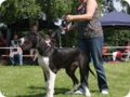 cac_roedersheim_064.jpg