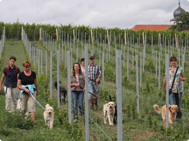 hundeschule_006.jpg