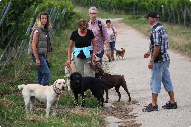 hundeschule_013.jpg