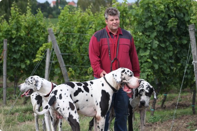 hundeschule_014.jpg