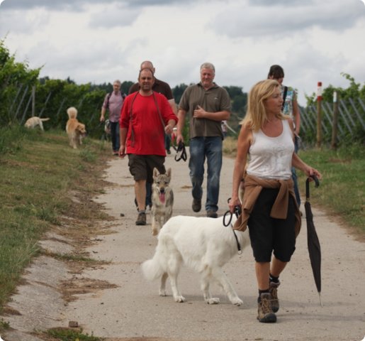 hundeschule_015.jpg