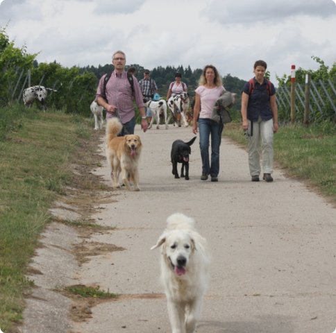 hundeschule_0161.jpg