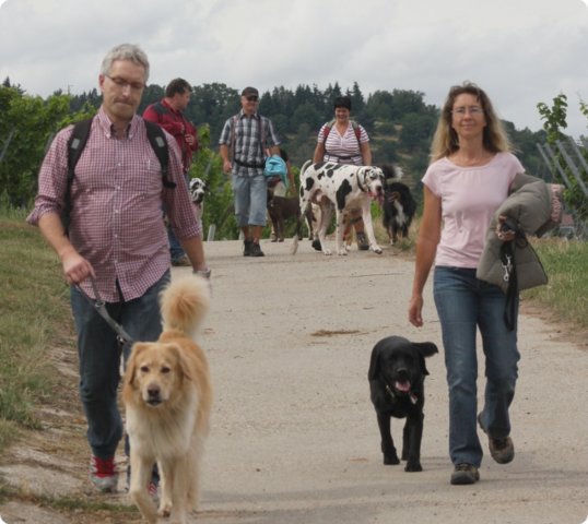 hundeschule_017.jpg