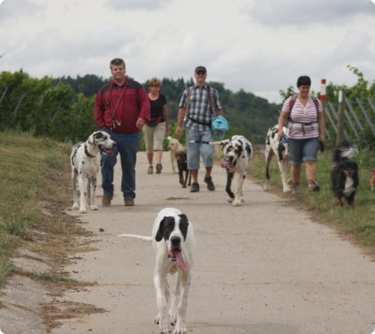 hundeschule_020.jpg