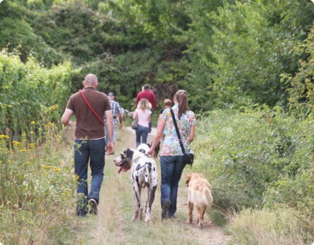 hundeschule_025.jpg