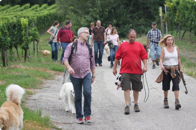 hundeschule_036.jpg