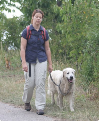 hundeschule_044.jpg