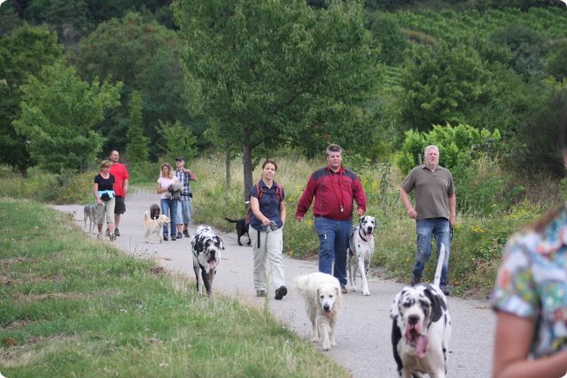hundeschule_048.jpg
