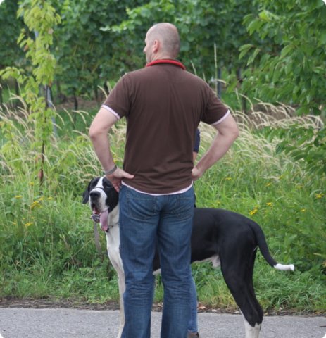 hundeschule_051.jpg