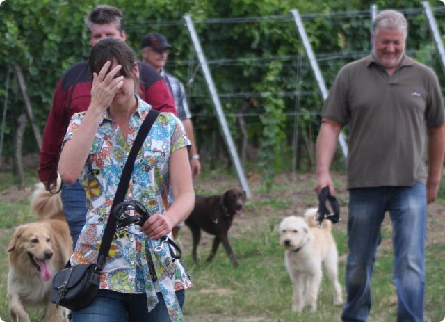 hundeschule_053.jpg