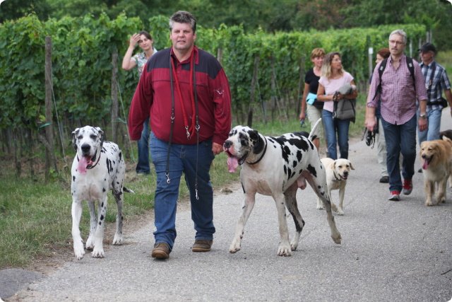 hundeschule_061.jpg