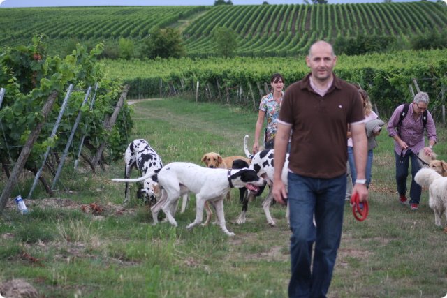 hundeschule_064.jpg