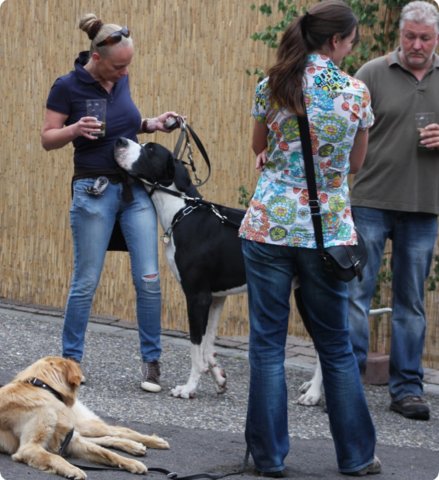 hundeschule_082.jpg