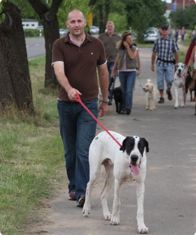 hundeschule_088.jpg