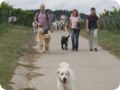 hundeschule_0161.jpg