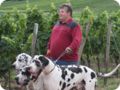 hundeschule_001.jpg