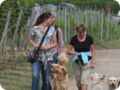 hundeschule_002.jpg