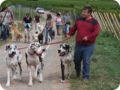 hundeschule_003.jpg