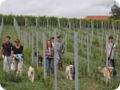 hundeschule_006.jpg