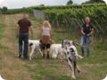 hundeschule_008.jpg