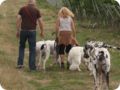 hundeschule_009.jpg