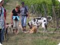 hundeschule_011.jpg