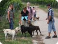 hundeschule_013.jpg