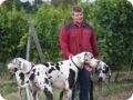 hundeschule_014.jpg