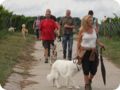 hundeschule_015.jpg