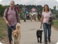 hundeschule_017.jpg
