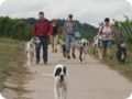 hundeschule_020.jpg