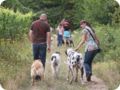 hundeschule_024.jpg