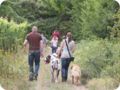hundeschule_025.jpg
