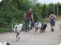 hundeschule_030.jpg