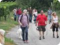 hundeschule_036.jpg