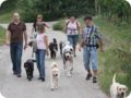 hundeschule_037.jpg