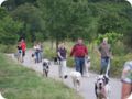 hundeschule_048.jpg