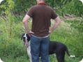 hundeschule_051.jpg