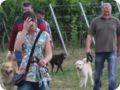 hundeschule_053.jpg