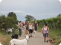 hundeschule_057.jpg