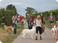 hundeschule_059.jpg