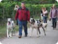 hundeschule_061.jpg