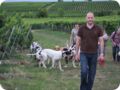 hundeschule_064.jpg