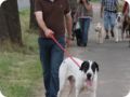hundeschule_088.jpg